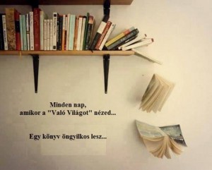 fotó